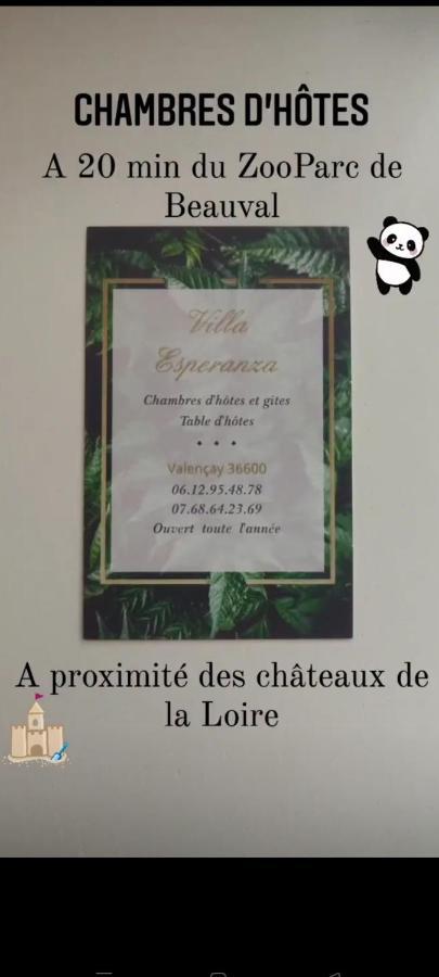Villa Esperanza Chambre De Plain-Pied, Independante, Proche Zoo De Beauval Et Chateaux De La Loire Валансе Екстер'єр фото