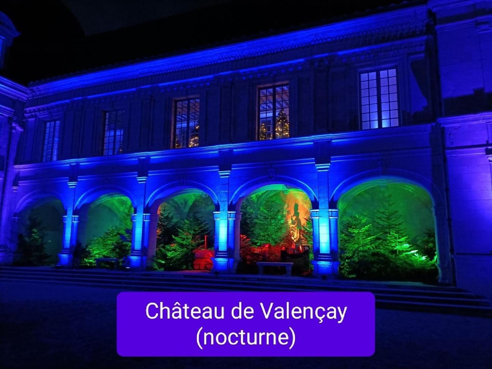 Villa Esperanza Chambre De Plain-Pied, Independante, Proche Zoo De Beauval Et Chateaux De La Loire Валансе Екстер'єр фото
